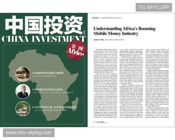 探讨南宫NG国际登录对投资者的价值与意义 探讨南宫NG国际登录对投资者的价值与意义