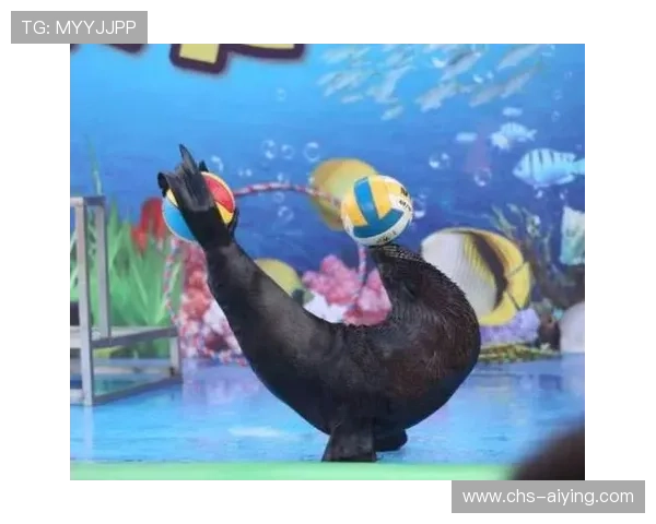 海星体育真人国际推出优惠活动，带你畅玩体育赛事和真人游戏的乐趣