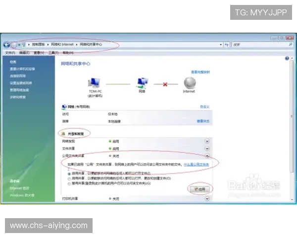 海星体育在线地址的优势以及用户如何选择合适的访问方式